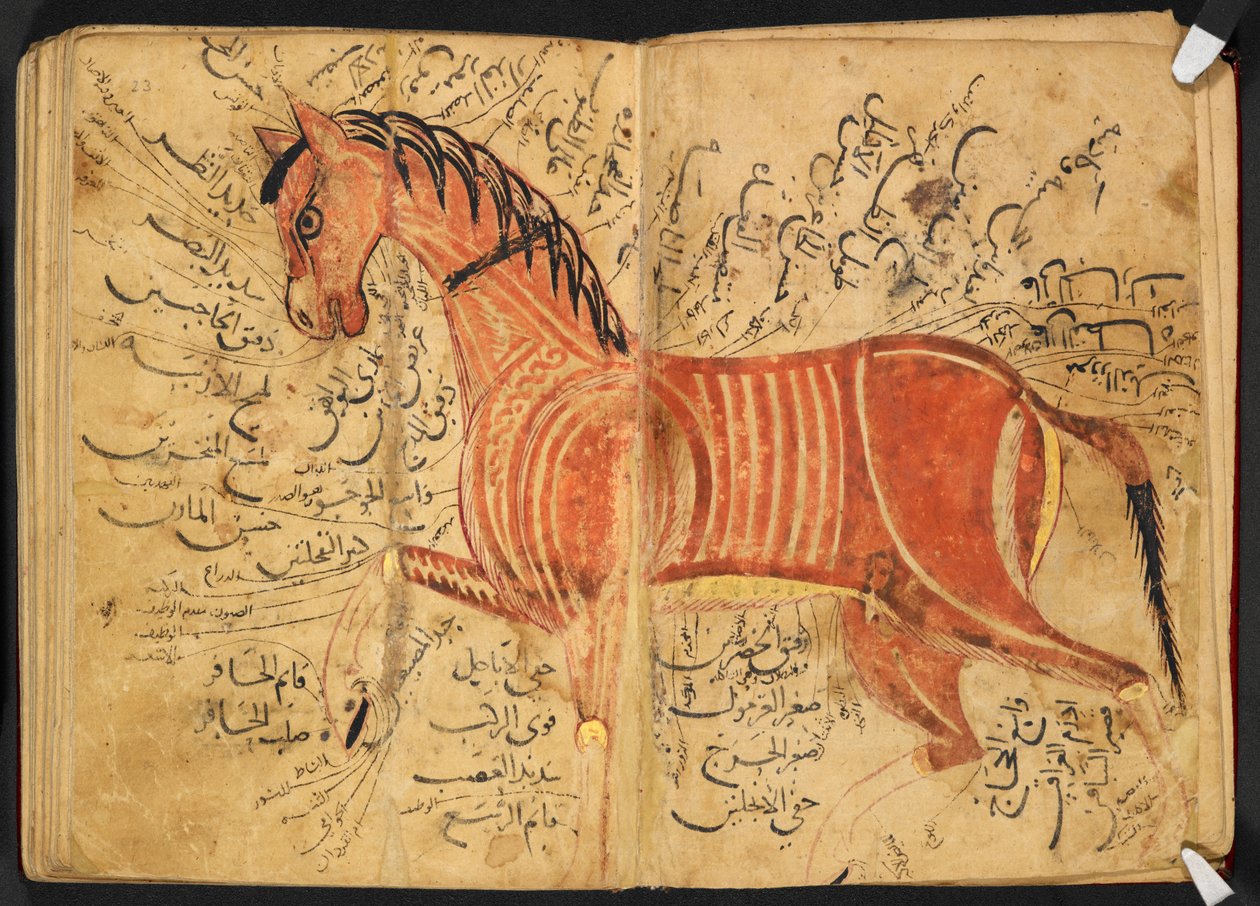 Hevonen, "Kitāb al-bayṭarah", kirjoittaja Azdī, Aḥmad ibn ʿAtīq tekijältä Arabic School