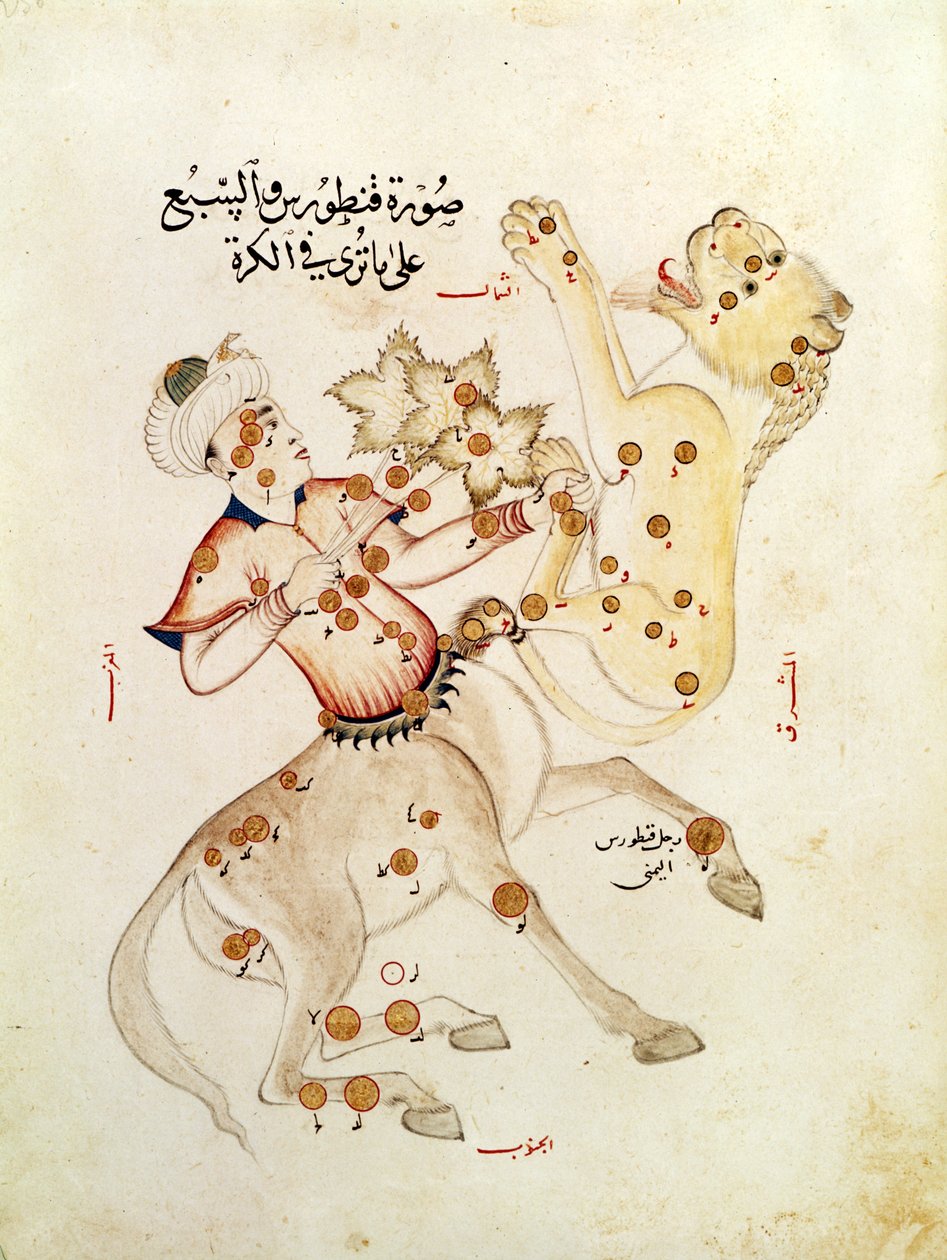 Ms 5036 fol.238 Kentauruksen ja Leijonan tähtikuviot, Abd-al-Rahman Al Sufin (903-986) tutkielma kiinteistä tähdistä tekijältä Arabic School