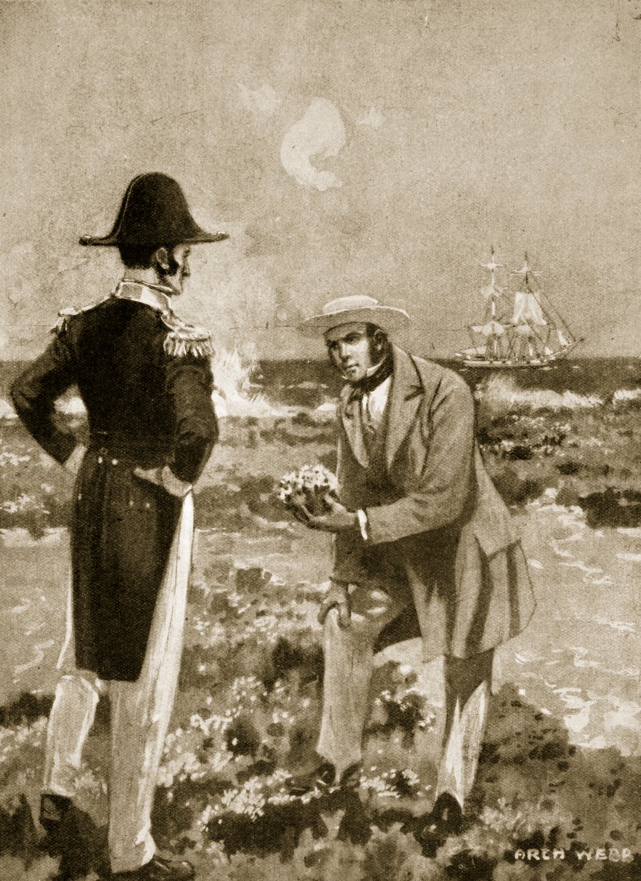 Darwin löytää mielenkiintoisen näytteen tekijältä Archibald Webb