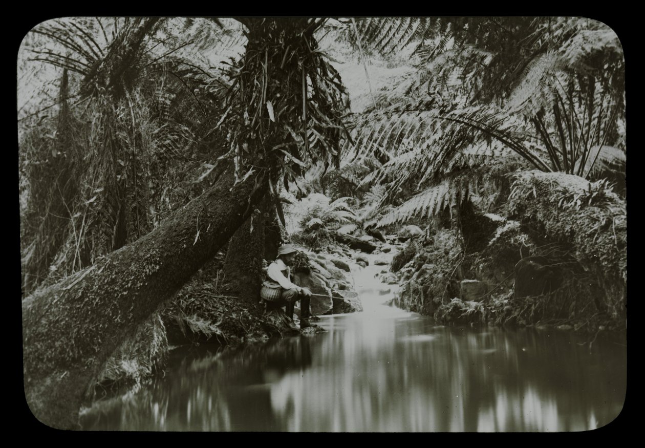 Kalastusallas, Sassafras Gully tekijältä Archibald James Campbell