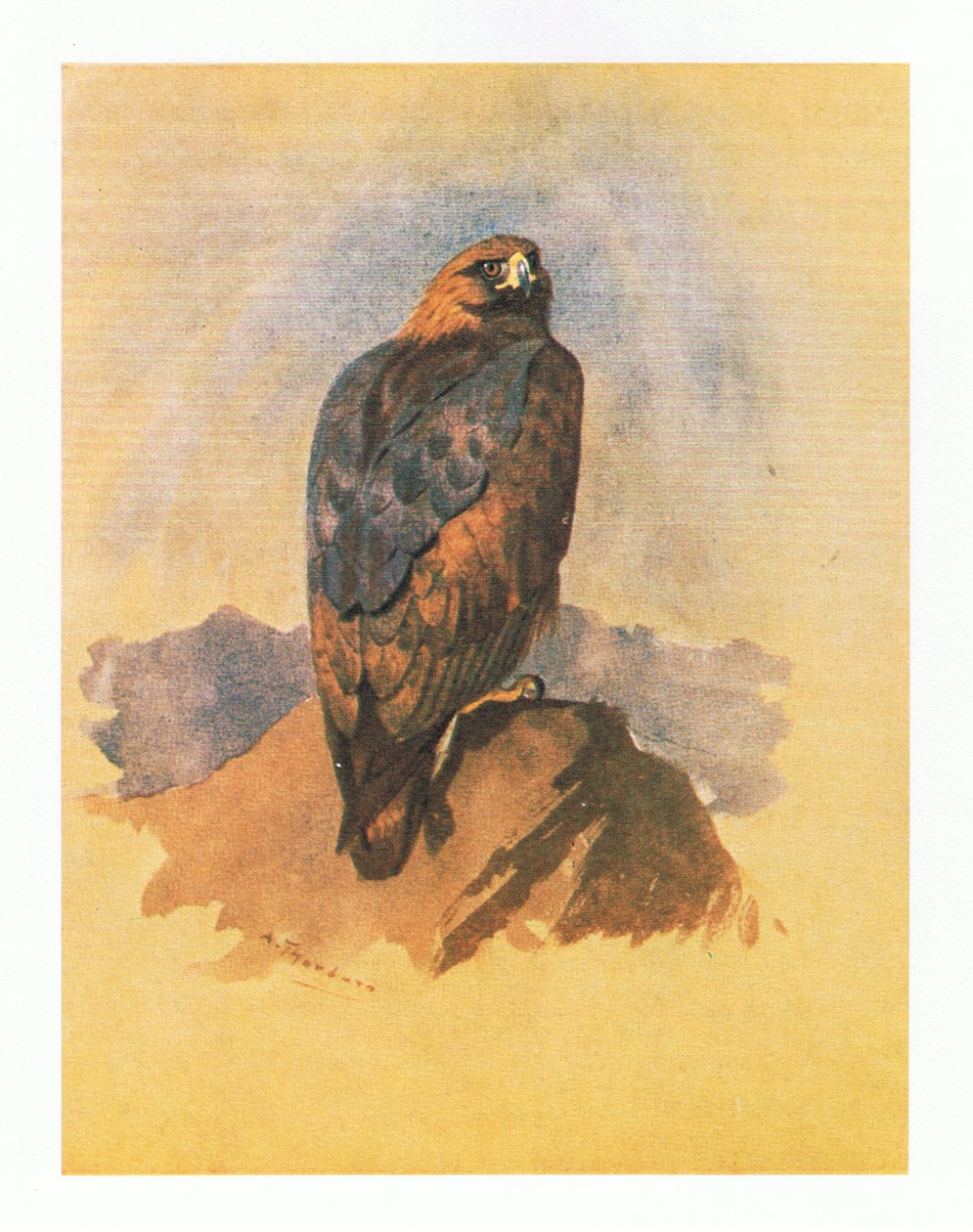Golden Eagle -opiskelu, pubi. Kirjailija: Book Club Associates, 1972 tekijältä Archibald Thorburn