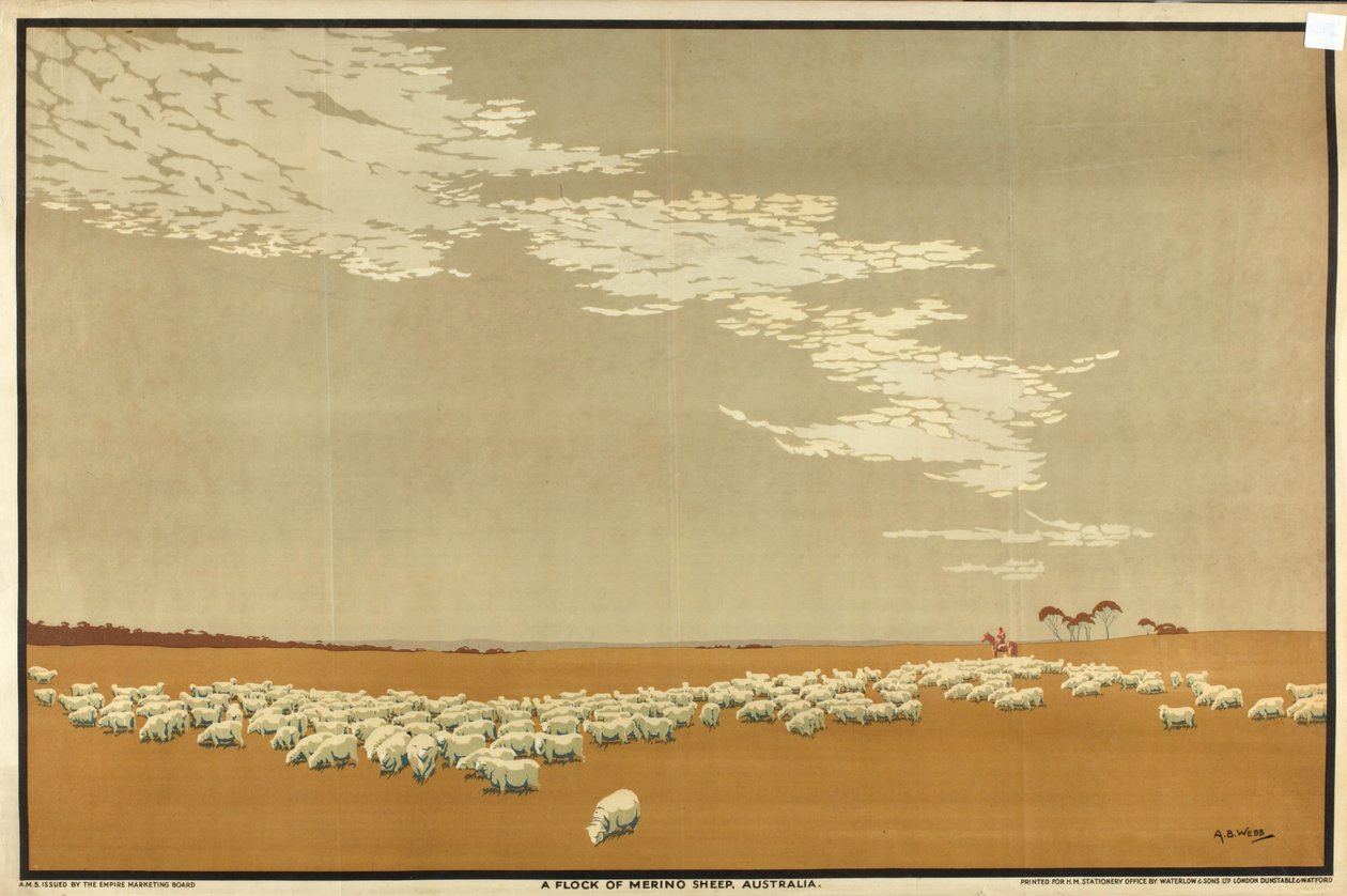 A Flock of Merino Sheep - Australia, sarjasta "Australian Wealth of Wheat and Wool" (väri litho) tekijältä Archibald Bertram Webb