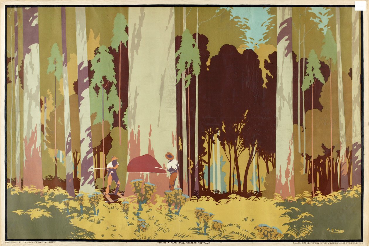 Karripuun kaato Länsi-Australiassa sarjasta "Australian Wealth of Wheat and Wool" tekijältä Archibald Bertram Webb
