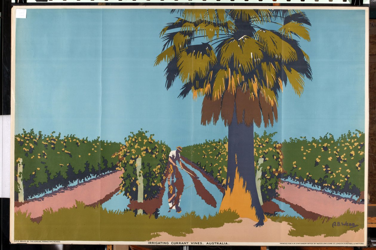 Herukkaviinien kastelu - Australia (väri litho) tekijältä Archibald Bertram Webb