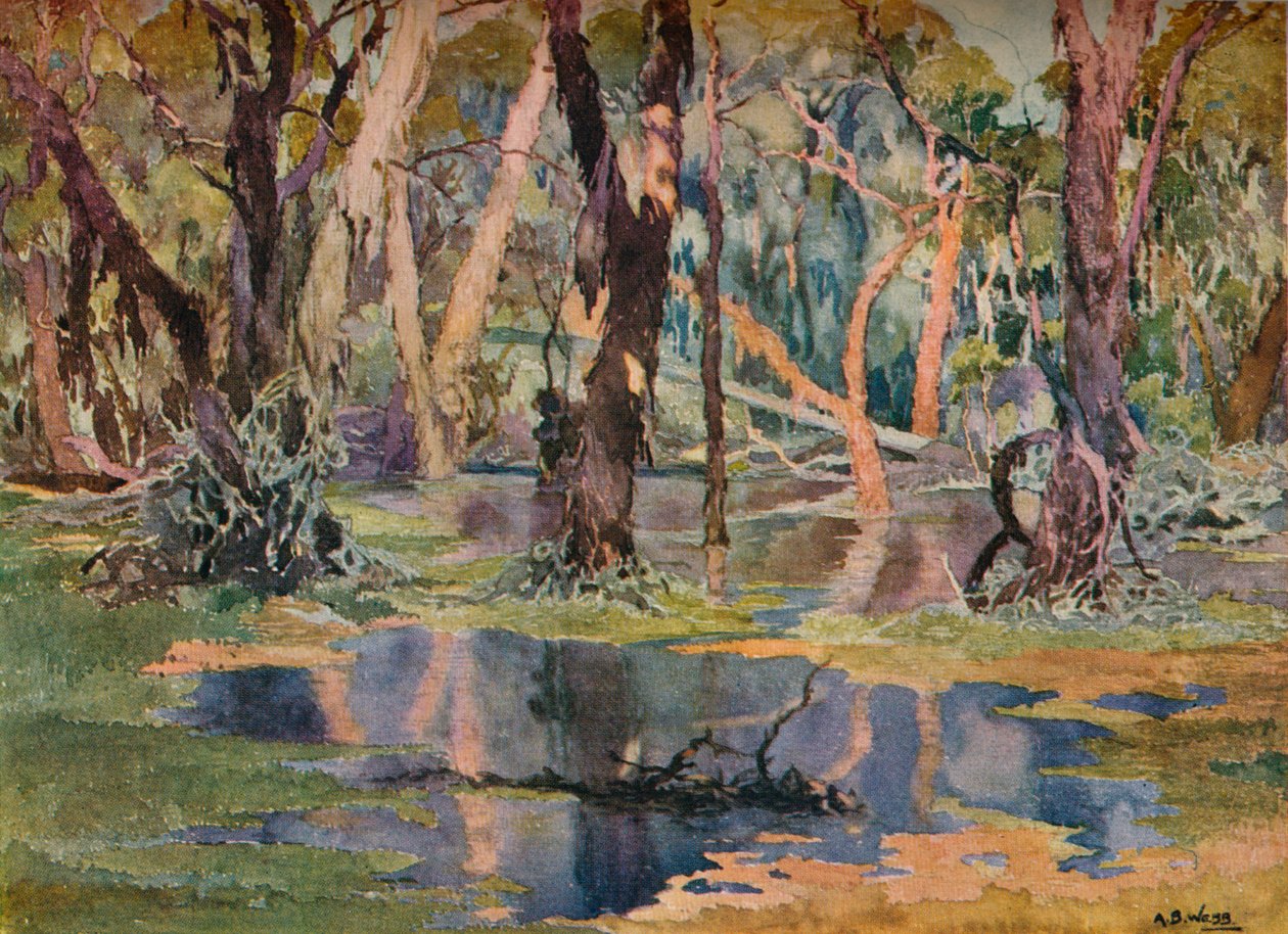 "Quindanning Pool", vuodelta 1927 tekijältä Archibald Bertram Webb