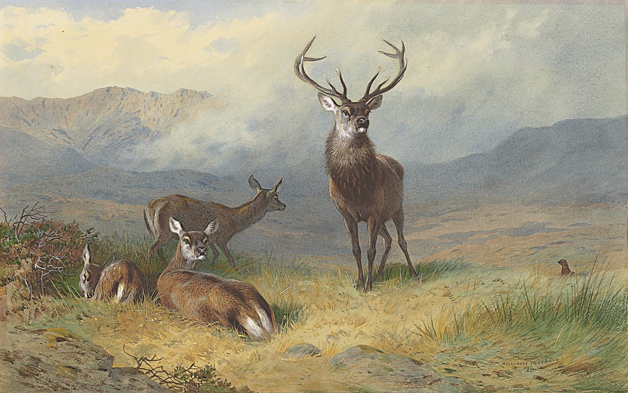 Glenin hallitsija tekijältä Archibald Thorburn