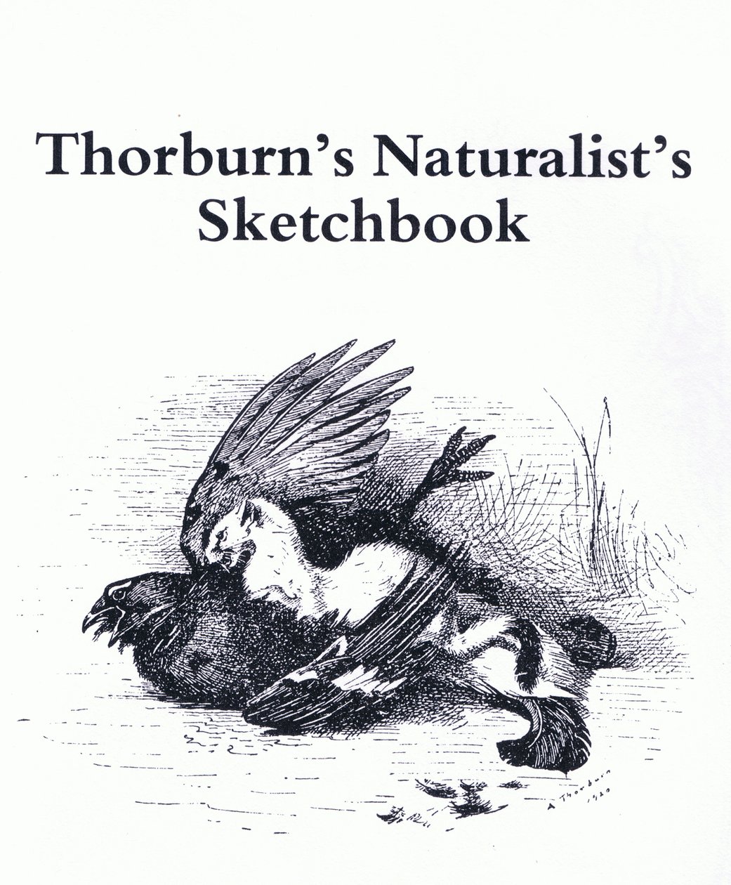 Nimilehti (Stoat ja Gamebird), pub. kirjoittanut Book Club Associates tekijältä Archibald Thorburn