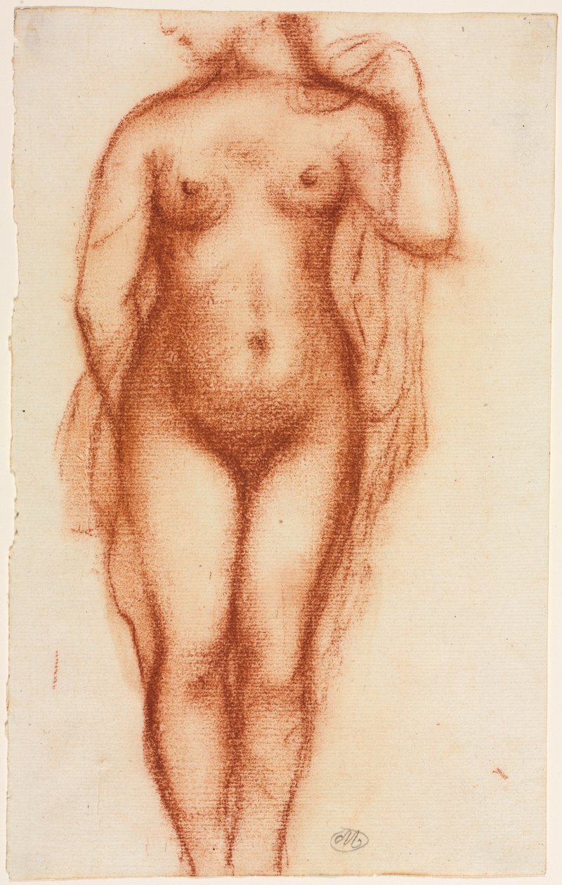 Nackte Frau stehend tekijältä Aristide Maillol