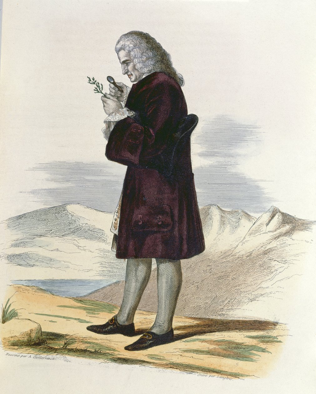 Bernard de Jussieu (1699-1777) noin 1820. tekijältä Armand Guilleminot