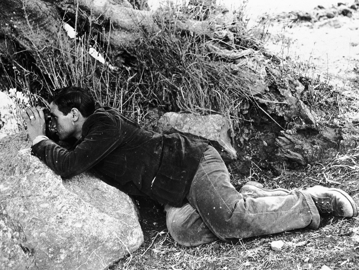 Salvatore Giuliano piiloutumassa pensaikkoihin, 1937 tekijältä Armando Bruni