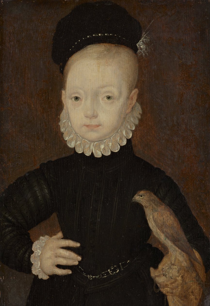 Jaakob VI ja minä, 1566 tekijältä Arnold Bronckorst