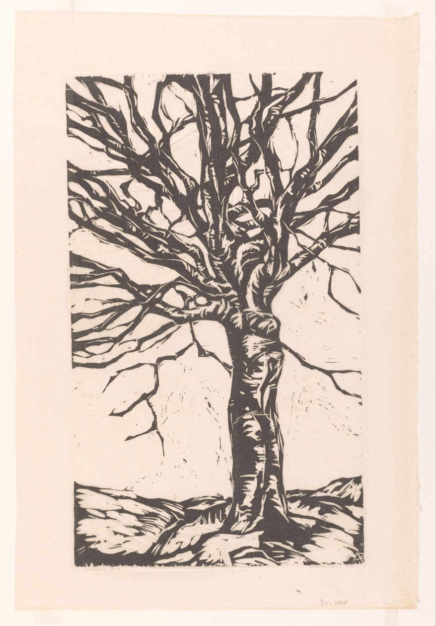 Lehtikaali puomi tekijältä Arnold Pijpers (signed by artist)
