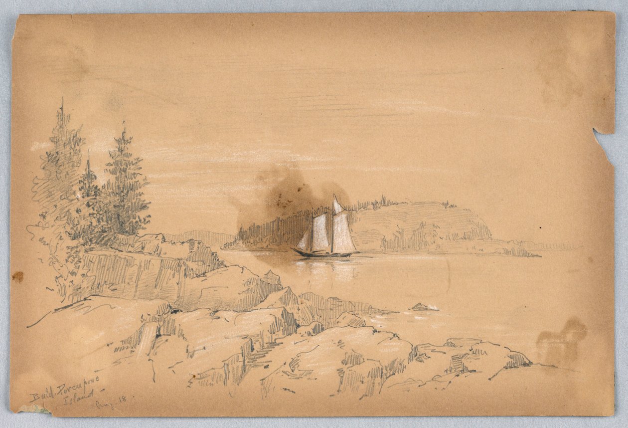 Bald Porcupine Island tekijältä Arnold William Brunner