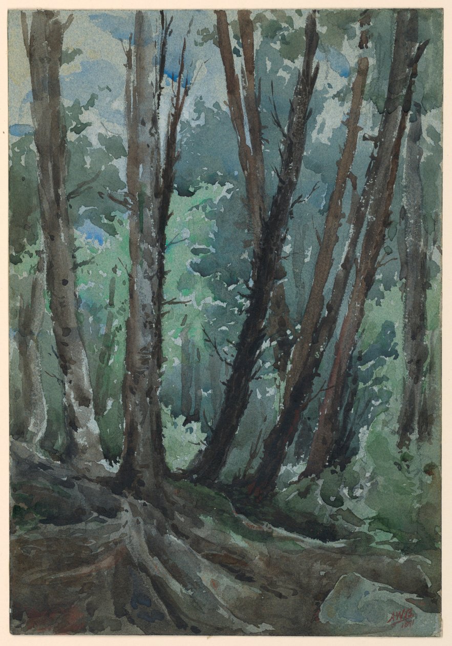 Metsä tekijältä Arnold William Brunner