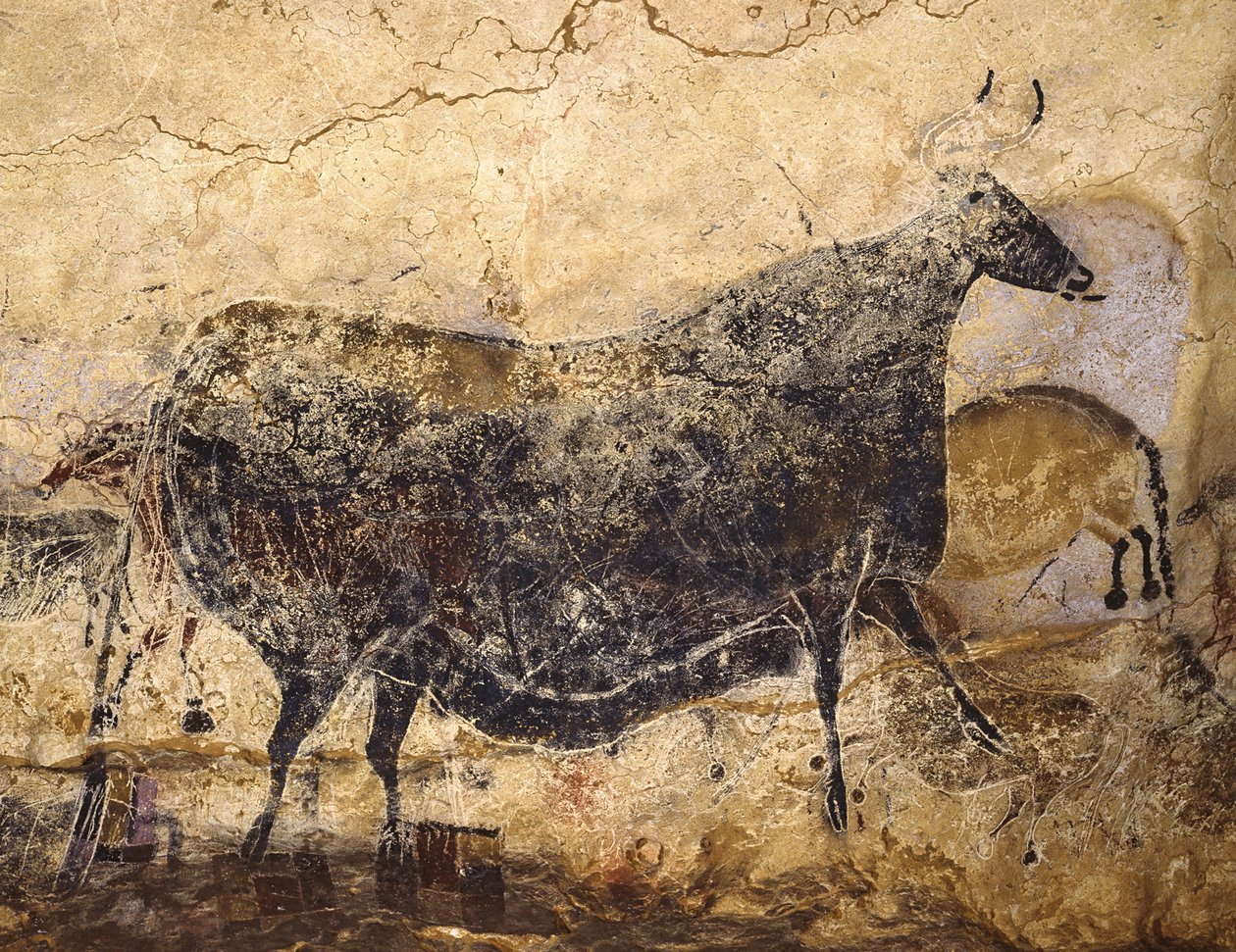 Musta Lehmä. Lascaux