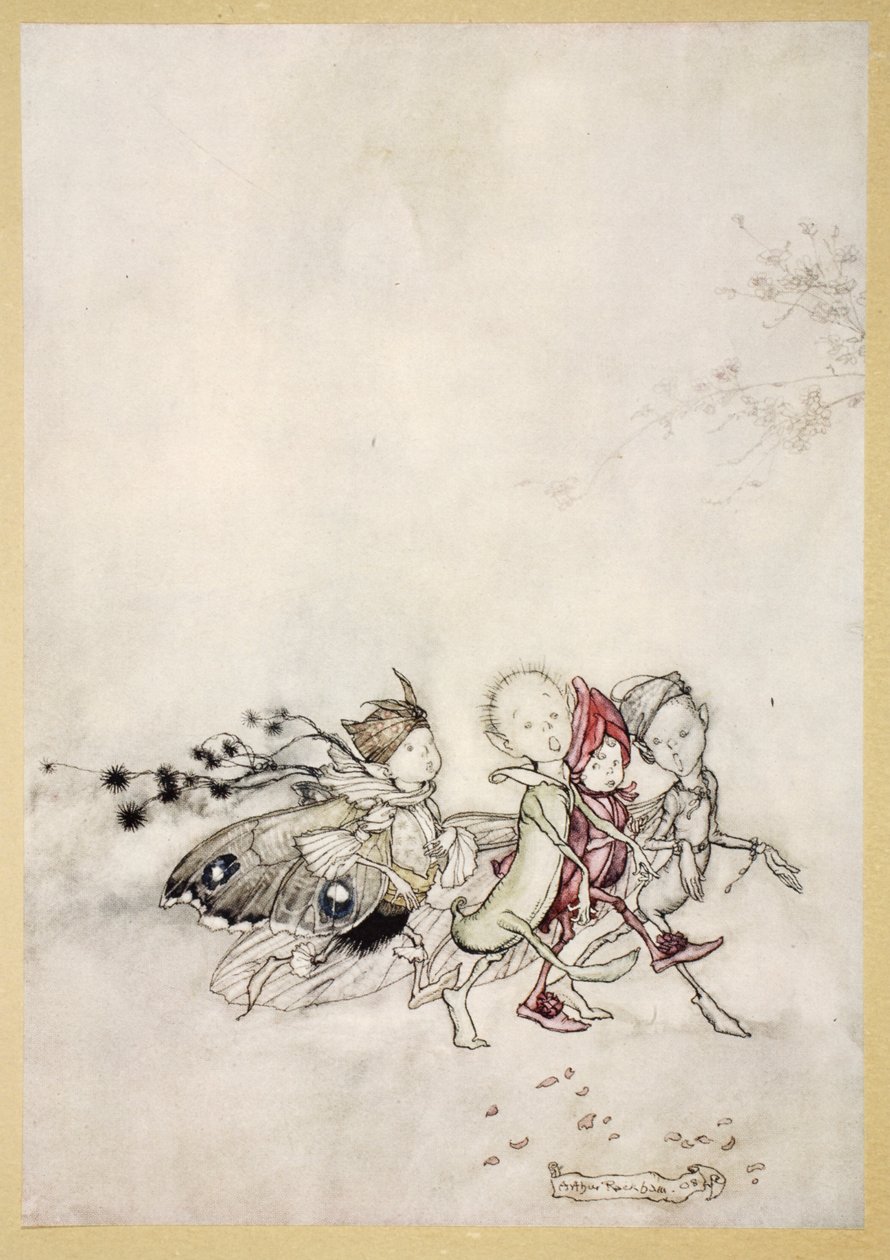 Enter Peasebottom, hämähäkinverkko, koi ja sinapinsiemen, kuvitus William Shakespearen teoksesta "Midsummer Nights Dream", 1908 tekijältä Arthur Rackham