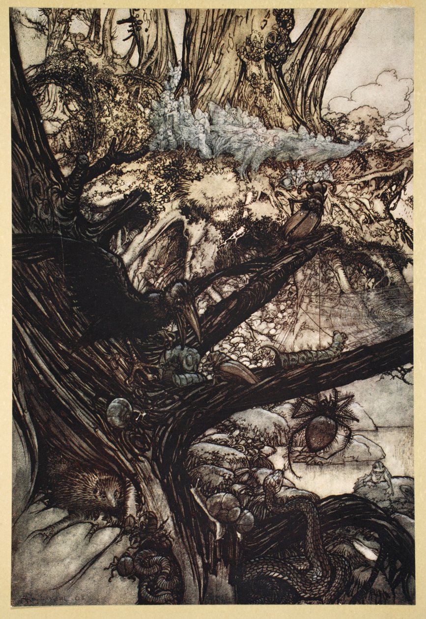 Älä koskaan vahingoita, ei loitsu tai viehätys, Tule meidän ihana lady-iltamme, kuvitus William Shakespearen "Kesäyön unelmasta", 1908 tekijältä Arthur Rackham