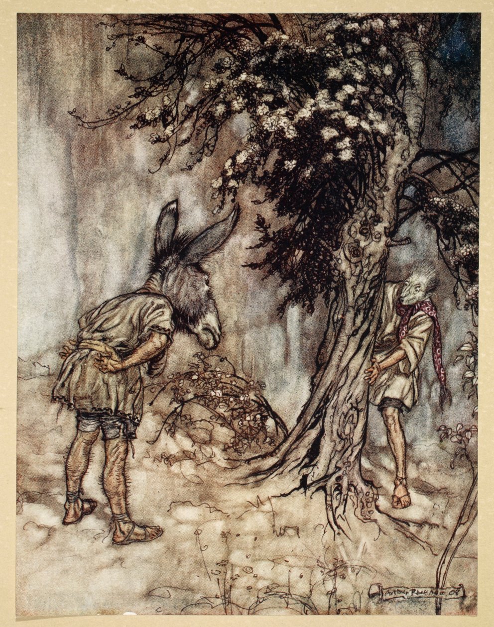 Oi pohja, sinä olet muuttunut!, kuvitus William Shakespearen teoksesta "Kesäyön unelma", 1908 tekijältä Arthur Rackham