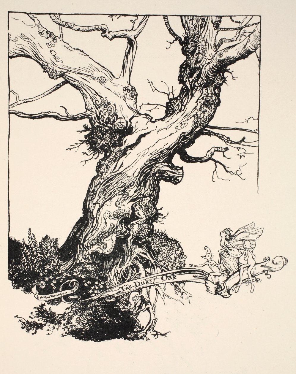 Herttuan tammi, kuvitus William Shakespearen "kesäyön unelmasta", 1908 tekijältä Arthur Rackham