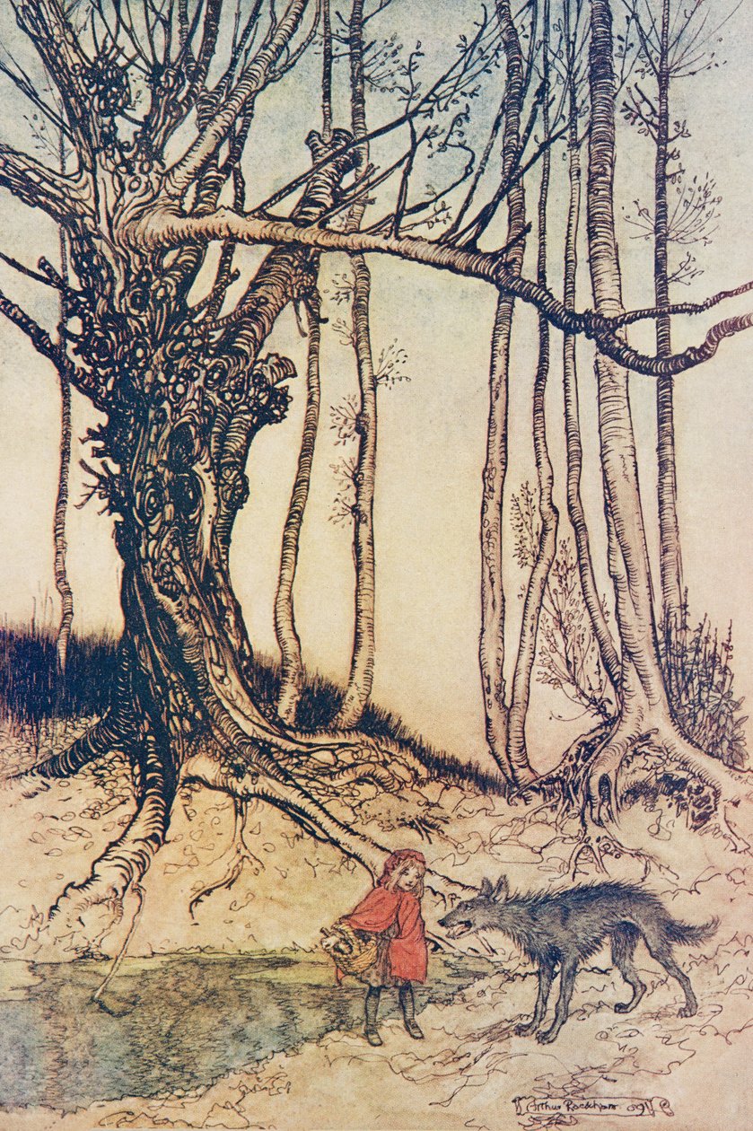 Kun hän pääsi metsään, hän tapasi suden .., Grimmin veljesten saduista, kustantamo. 1909 tekijältä Arthur Rackham