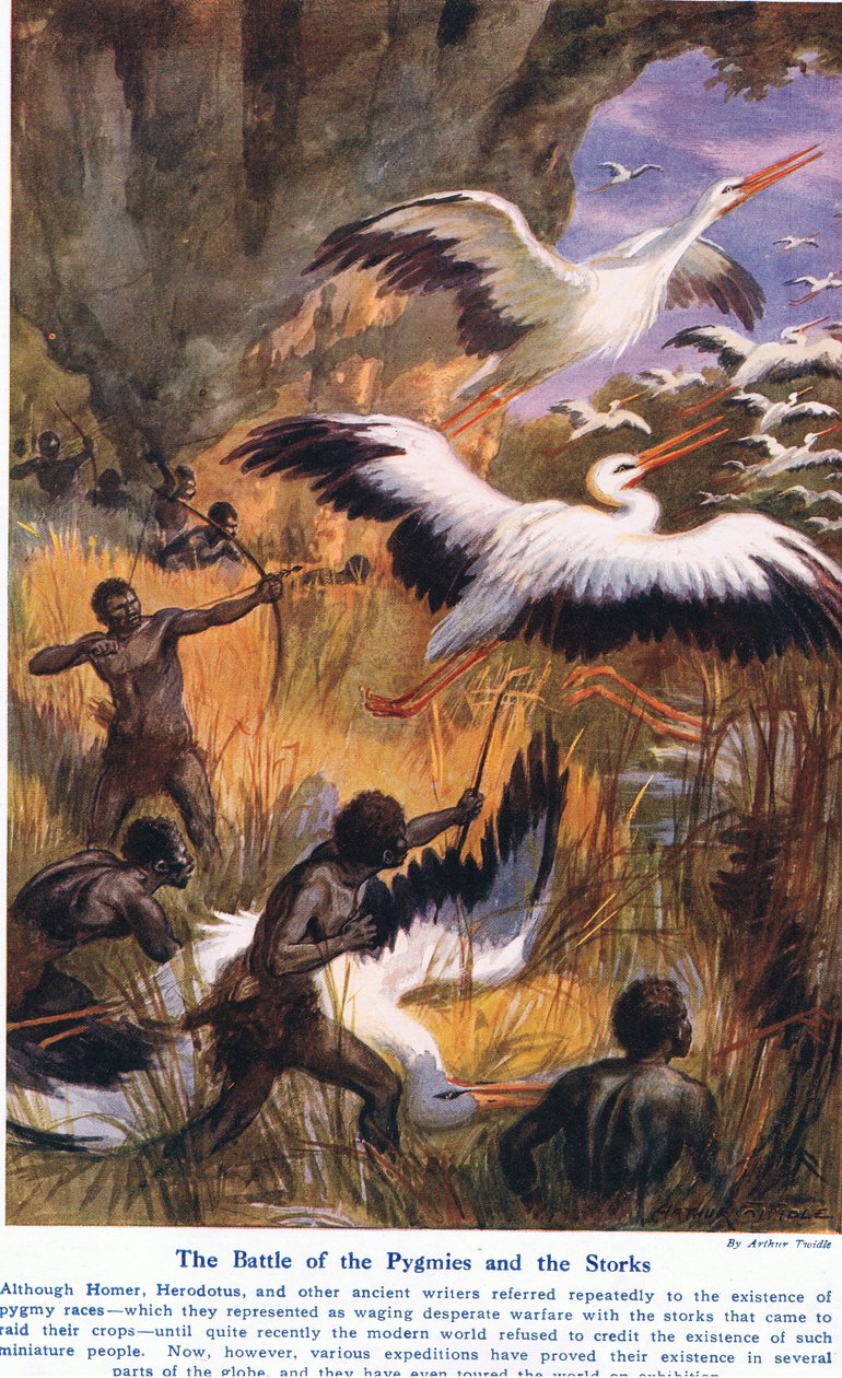 Pygmien ja haikaroiden taistelu, kuvitus julkaisusta "Wonders of Land and Sea", julkaisija Cassell, Lontoo, 1914 tekijältä Arthur Twidle