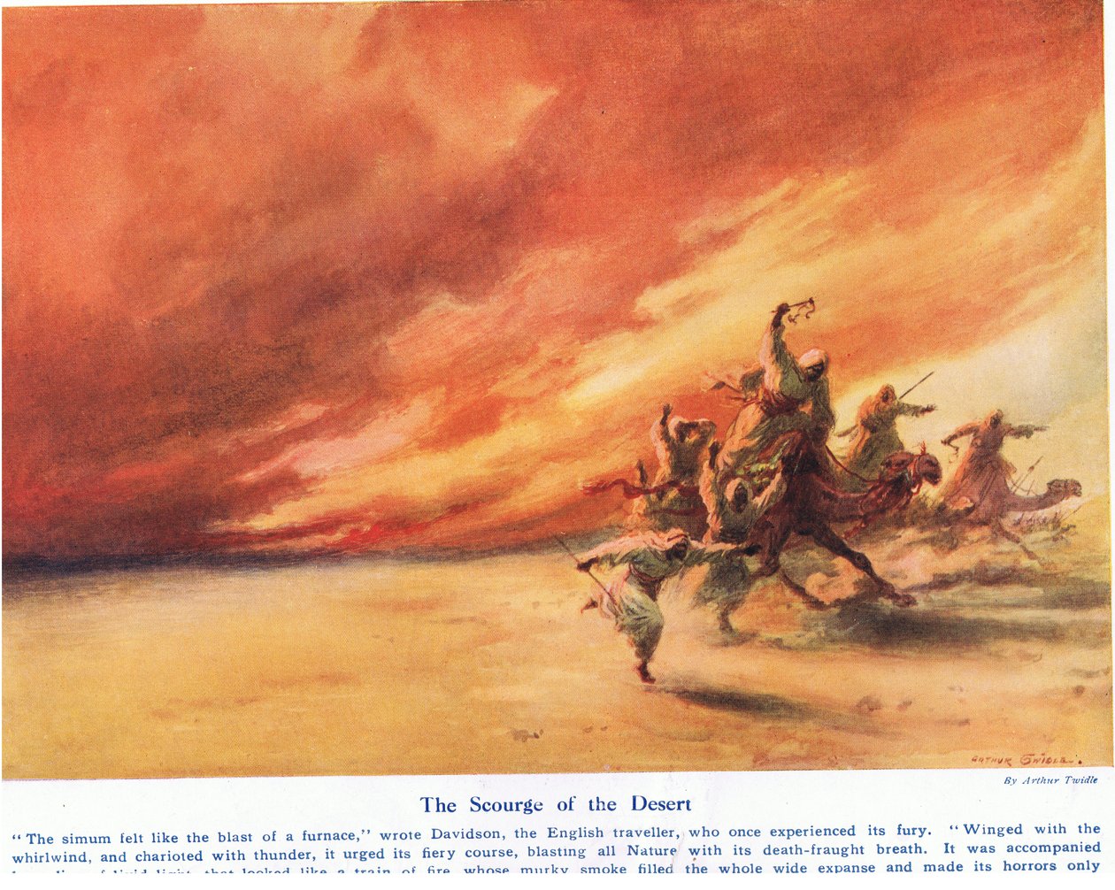 The Courge of the Desert, kuvitus "Wonders of Land and Sea" -julkaisusta, julkaisija Cassell, Lontoo, 1914 tekijältä Arthur Twidle