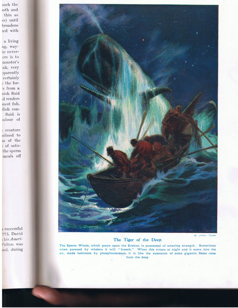 The Tiger of the Deep, kuvitus "Wonders of Land and Sea" -julkaisusta, julkaisija Cassell, Lontoo, 1914 tekijältä Arthur Twidle