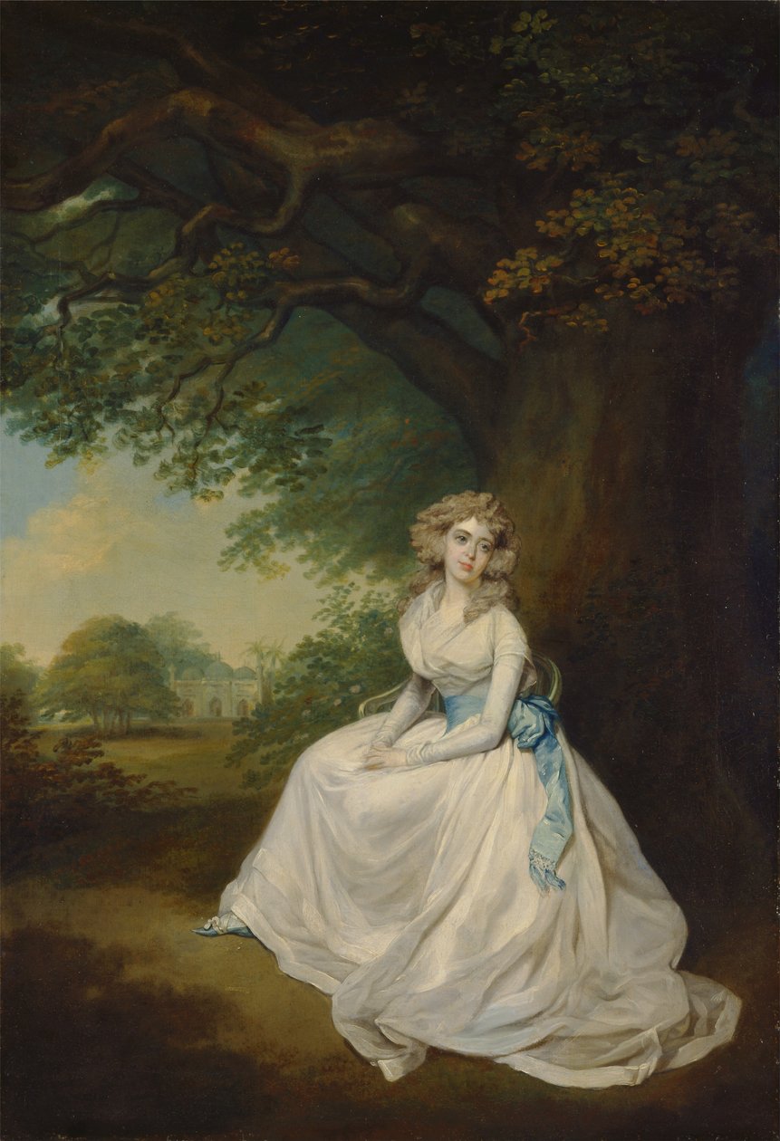 Lady Chambers tekijältä Arthur Devis