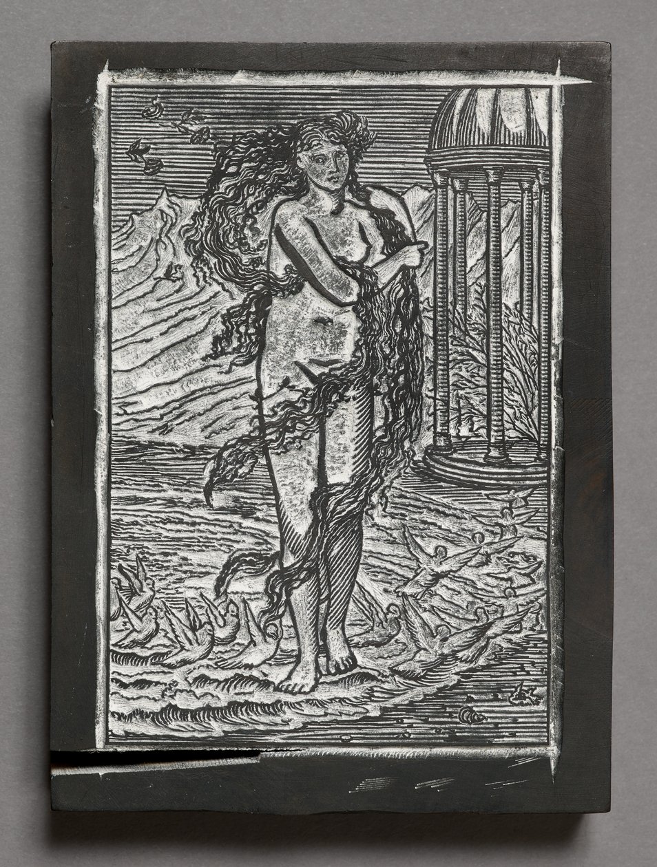 Tarina Cupidosta ja psyykestä - Venus, Edward Coley Burne-Jonesin mukaan (kaiverrettu puupalikka) tekijältä Arthur Burgess