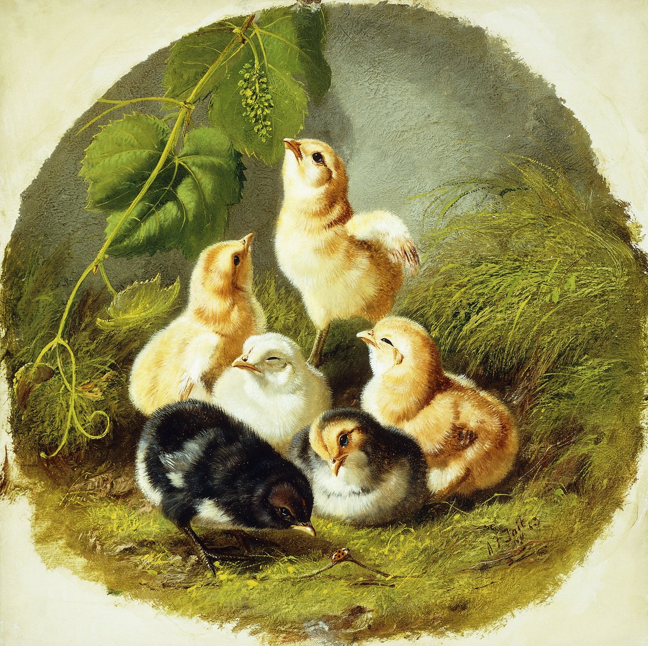Chicks, 1863 tekijältä Arthur Fitzwilliam Tait