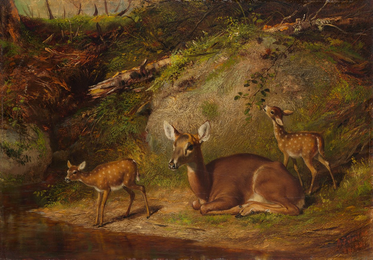 Doe ja Two Fawns, 1882. tekijältä Arthur Fitzwilliam Tait