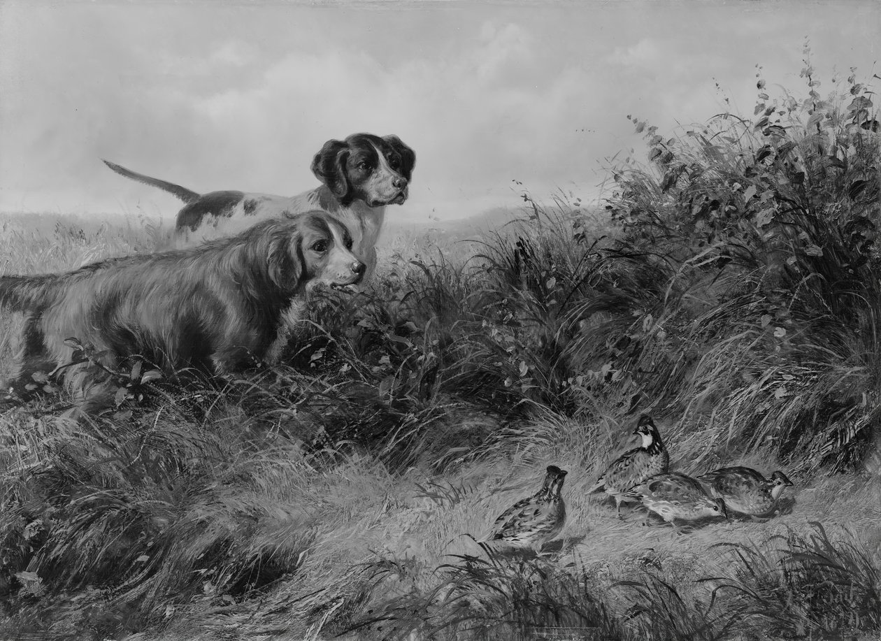 On Point, 1874. tekijältä Arthur Fitzwilliam Tait