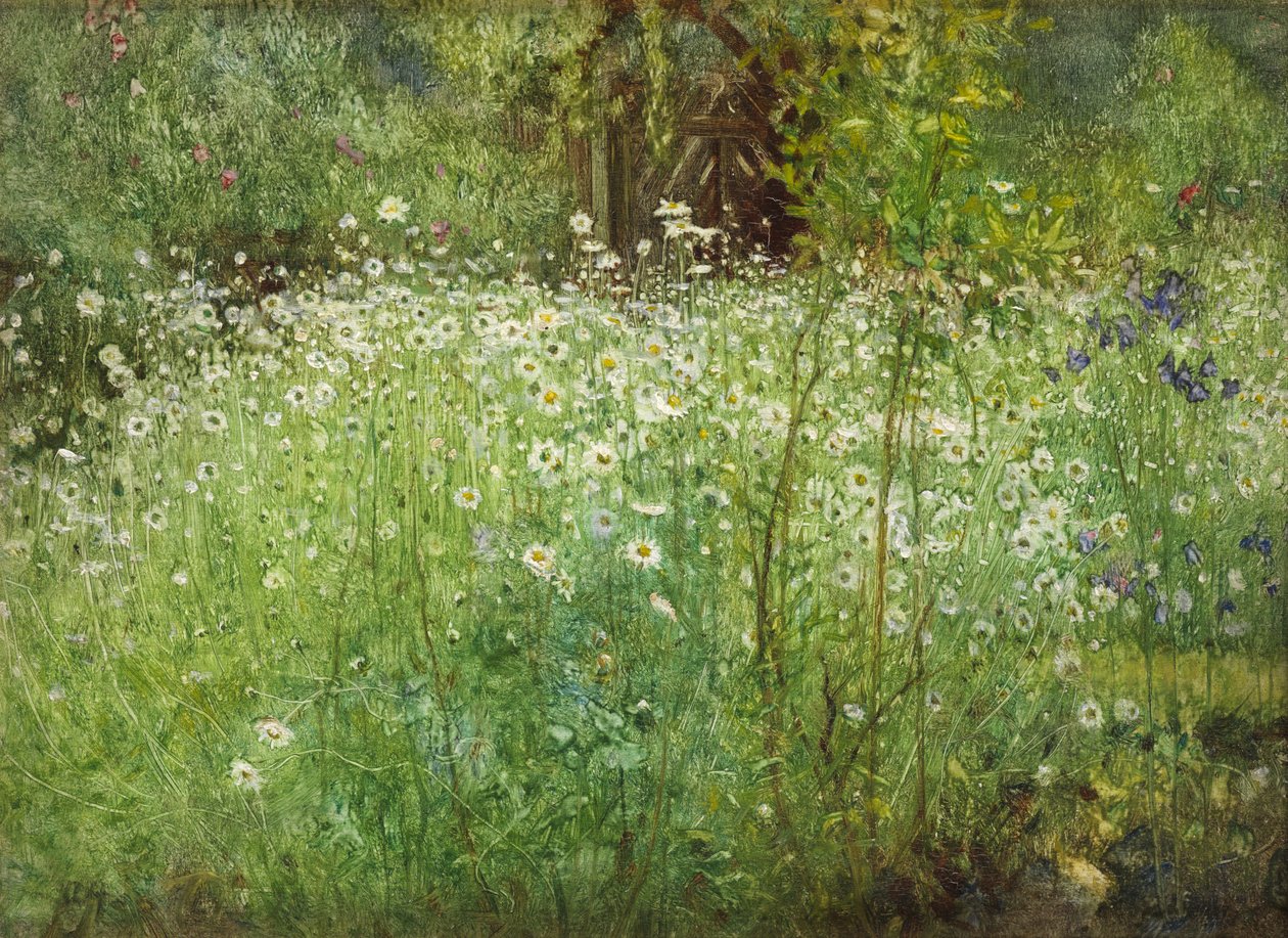 Oxeye Daisies and Irises, 1920 tekijältä Arthur Hacker