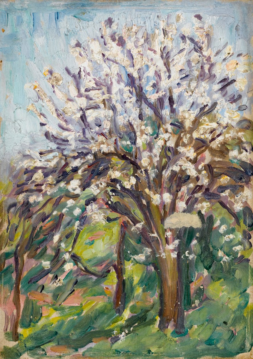 Mantelinkukka rinteessä, n.1910. tekijältä Arthur Haythorne Studd