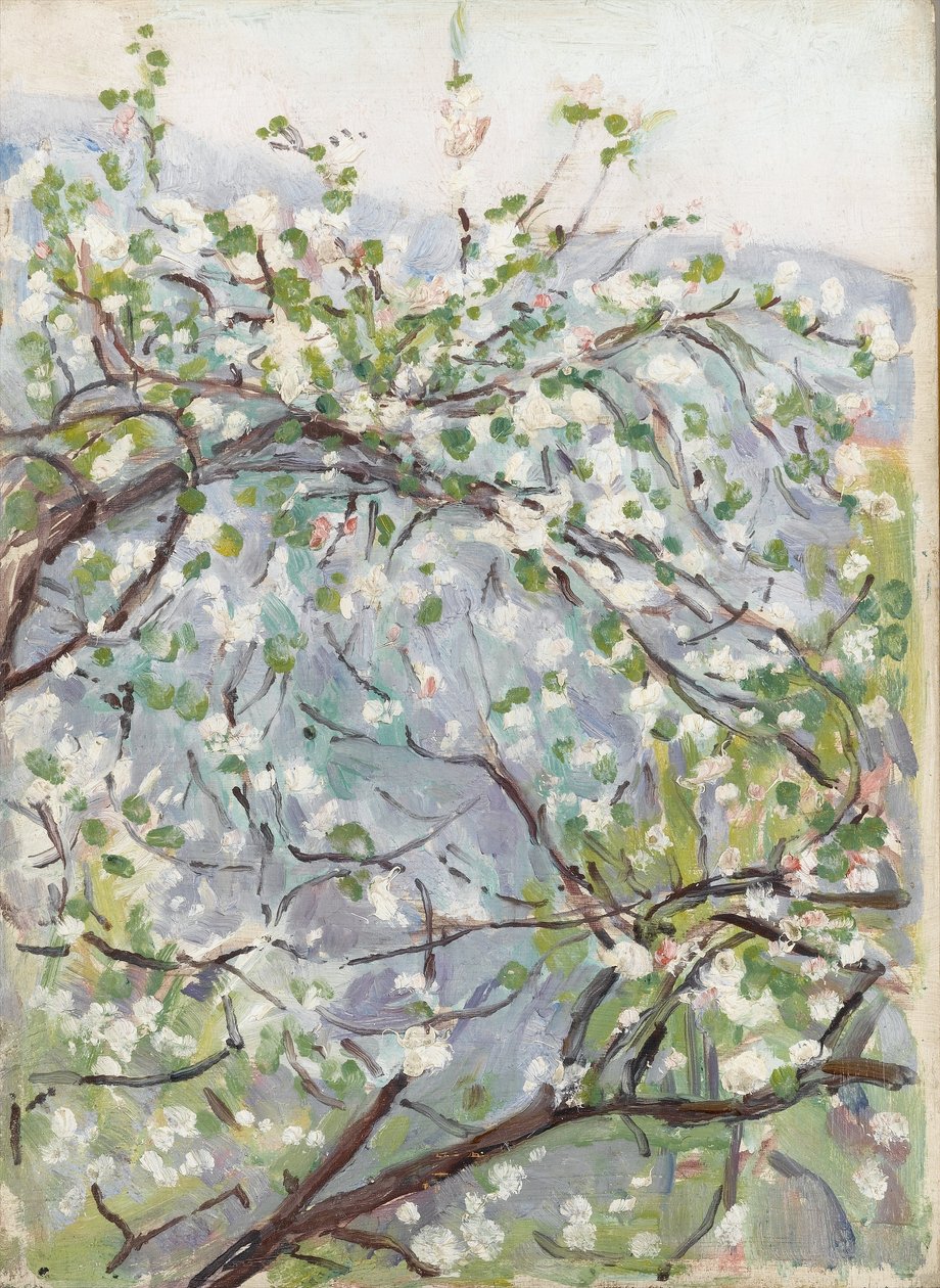 Blossom, noin 1900 tekijältä Arthur Haythorne Studd