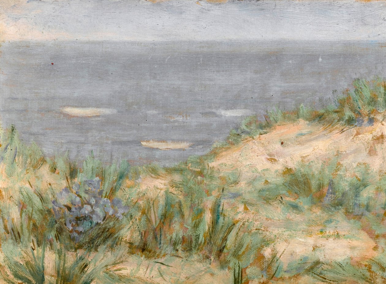 Merinäköala dyynien kanssa, kukkiva meriruoho, n. 1900 tekijältä Arthur Haythorne Studd