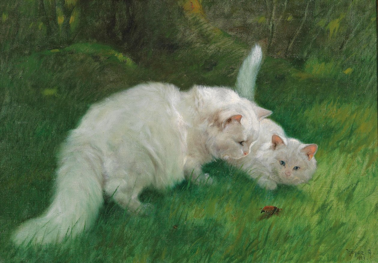 Arthur Heyer Mielenkiintoinen löytö vuonna 1923 tekijältä Arthur Heyer