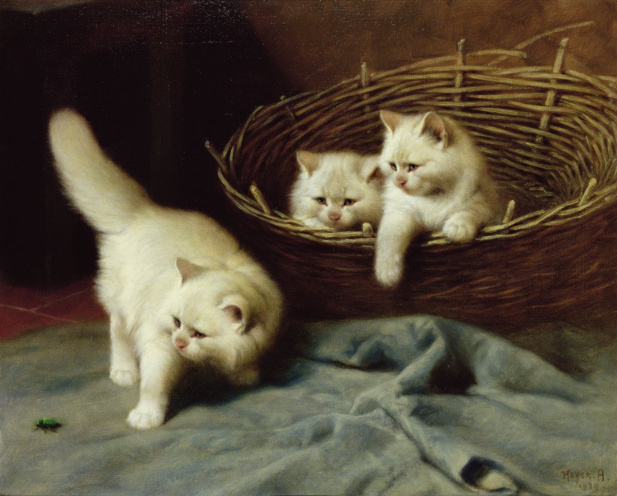 Valkoiset angorapennut kovakuoriaisella, 1929 tekijältä Arthur Heyer
