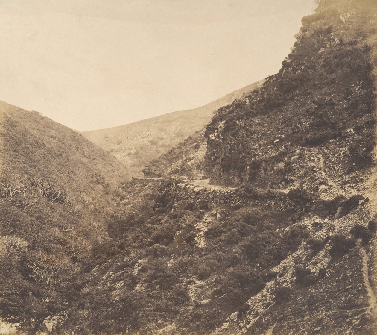 On the Road to Watersmeet, lähellä Lyntonia, North Devonissa, 1856. tekijältä Arthur Julius Pollock