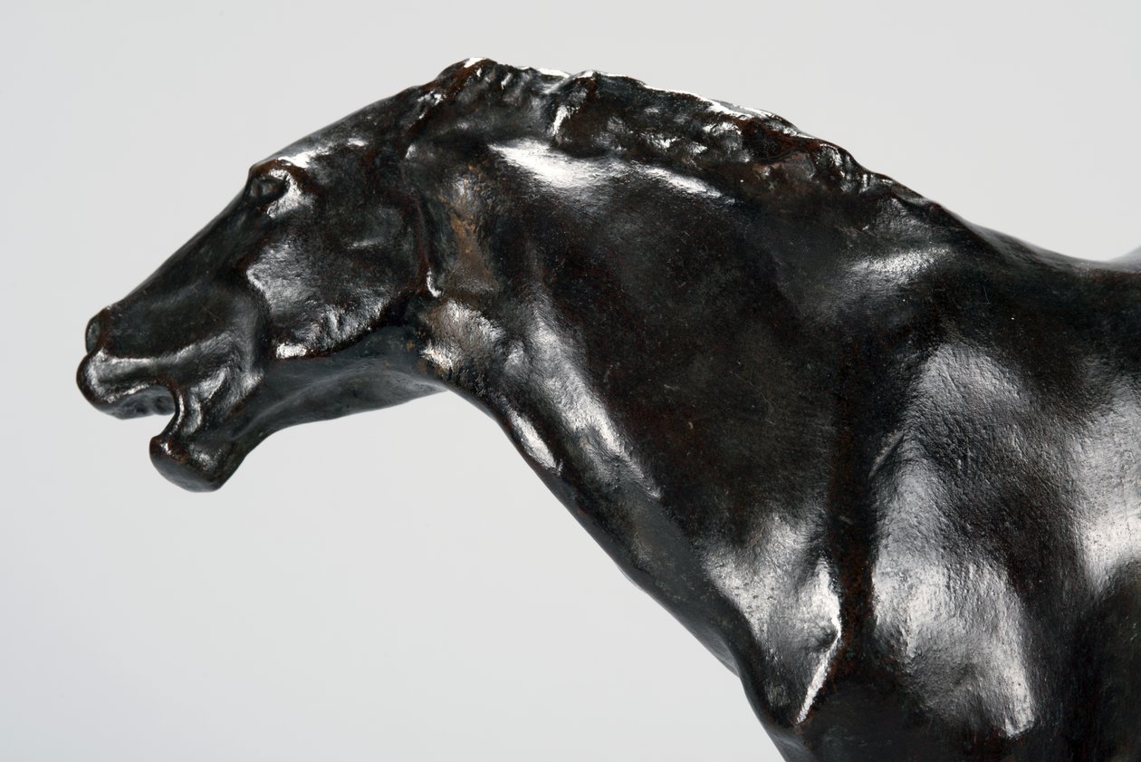 Colt (pronssi) tekijältä Arthur Putnam