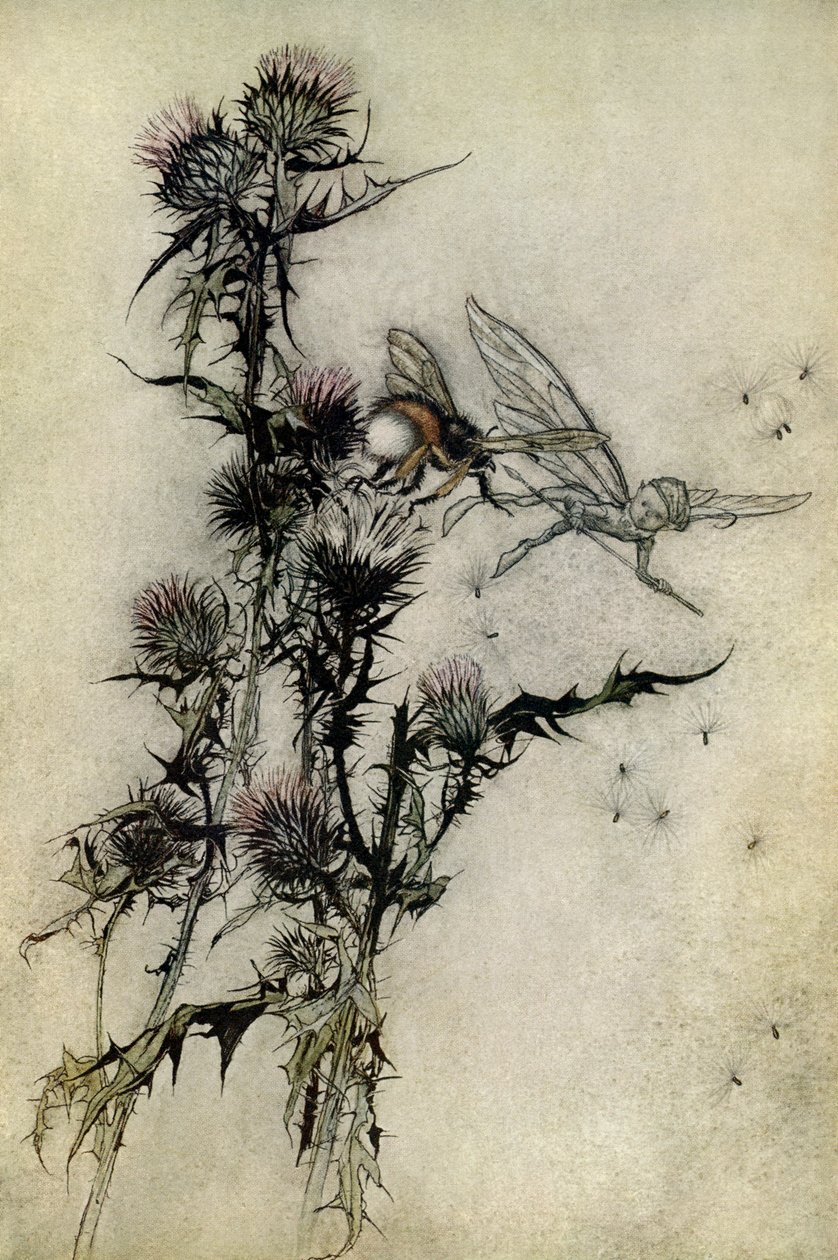 Juhannusyön unelma tekijältä Arthur Rackham