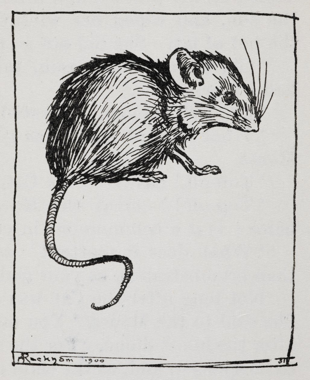Hiiri tekijältä Arthur Rackham