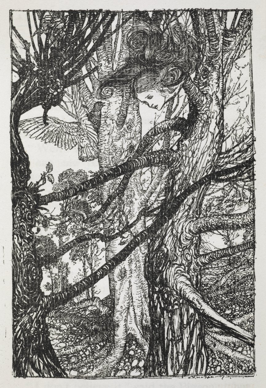 Alice kuin käärme puhumassa kyyhkyselle tekijältä Arthur Rackham