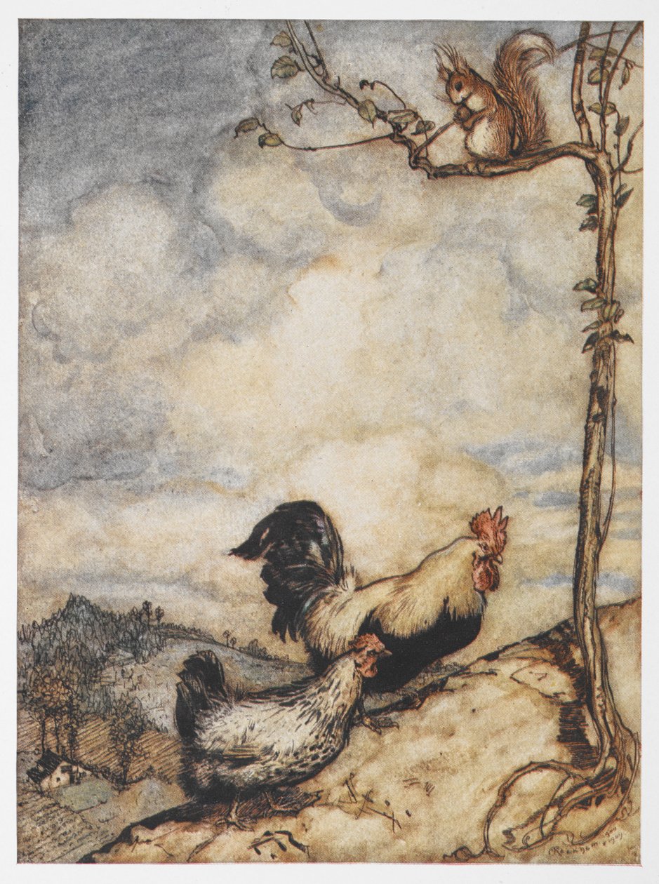 Kuva kanasta, kukosta ja oravasta Chanticleerin ja Partletin seikkailuista. tekijältä Arthur Rackham