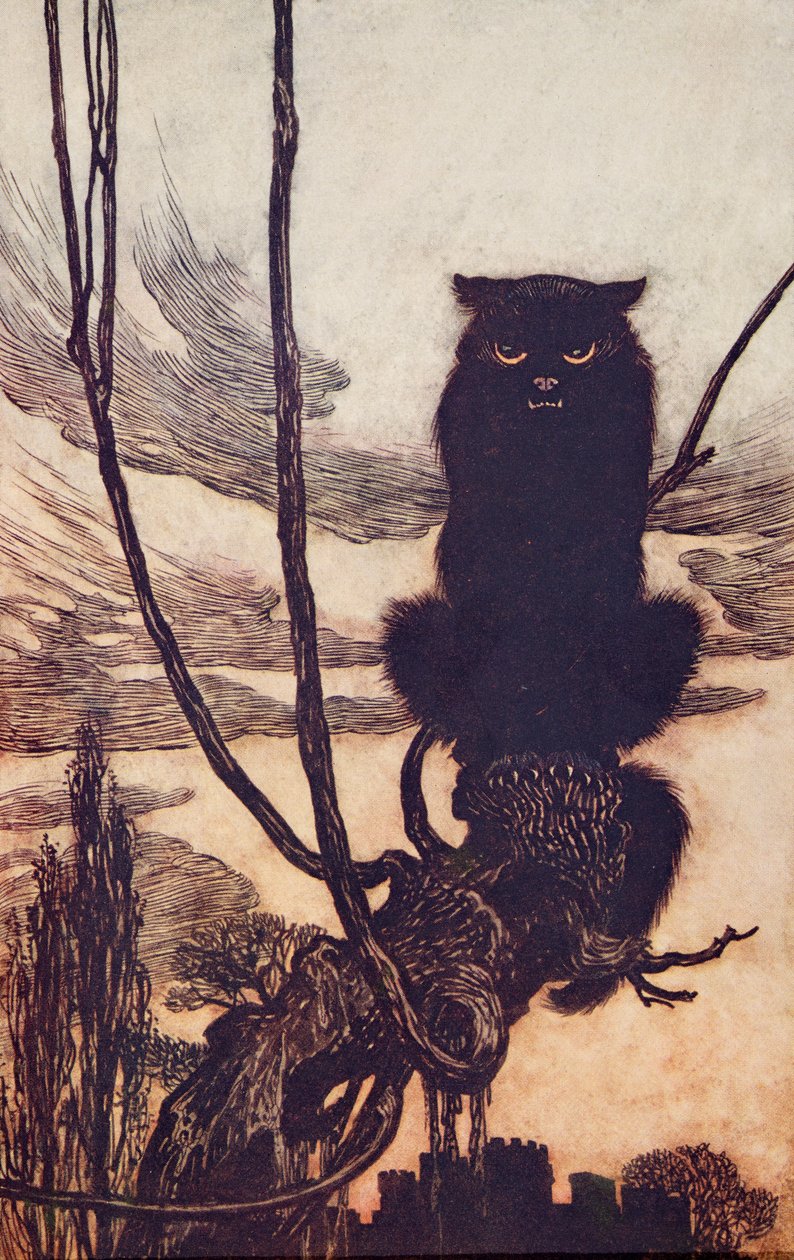 Päivisin hän teki itsestään kissan ?, Grimmin veljesten saduista, pub. 1909 tekijältä Arthur Rackham