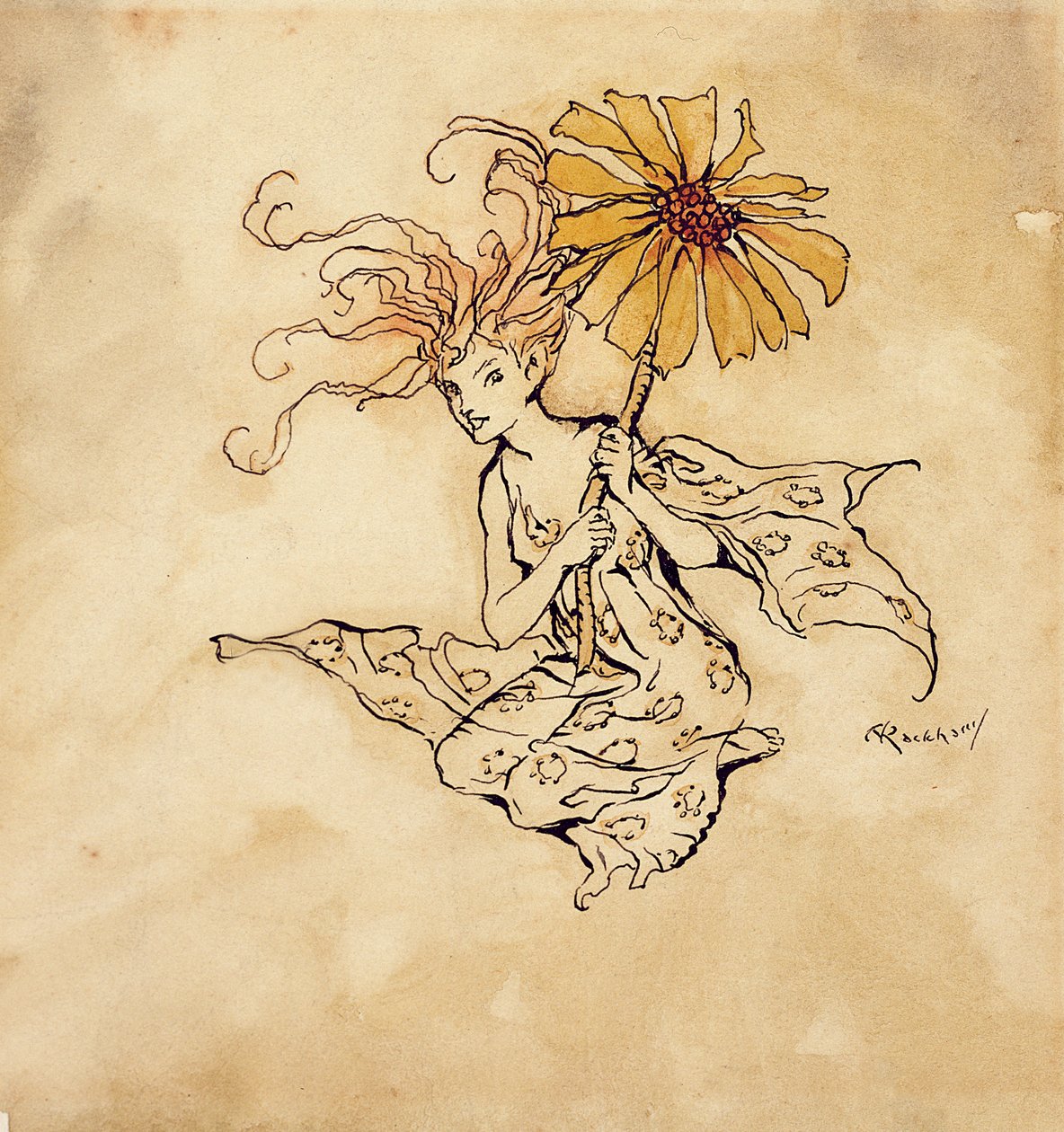 Daisy Fairy, kuvitus Peter Panista Kensington Gardensissa, J.M. Barrie, julkaistu 1912 (kynä, muste ja wc paperilla) tekijältä Arthur Rackham