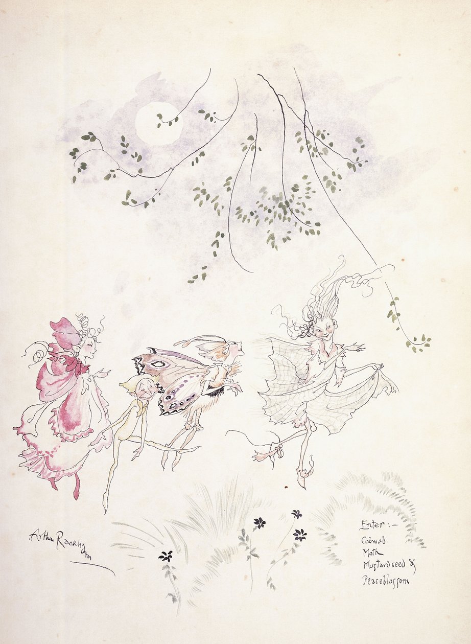 Anna: hämähäkinverkko, koi, sinapinsiemen ja hernekukka. Kuvitus Shakespearen teokseen "Kesäyön unelma", n. 1908 tekijältä Arthur Rackham