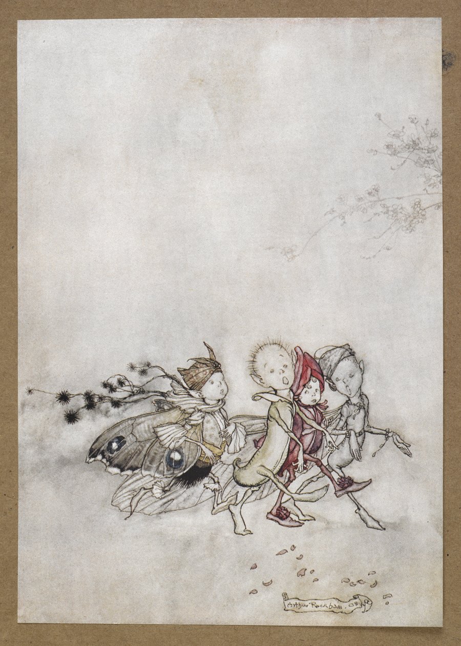 Anna hernekukka, hämähäkinverkko, koi ja sinapinsiemen. Kohtaus Kesäyön unelmasta. tekijältä Arthur Rackham