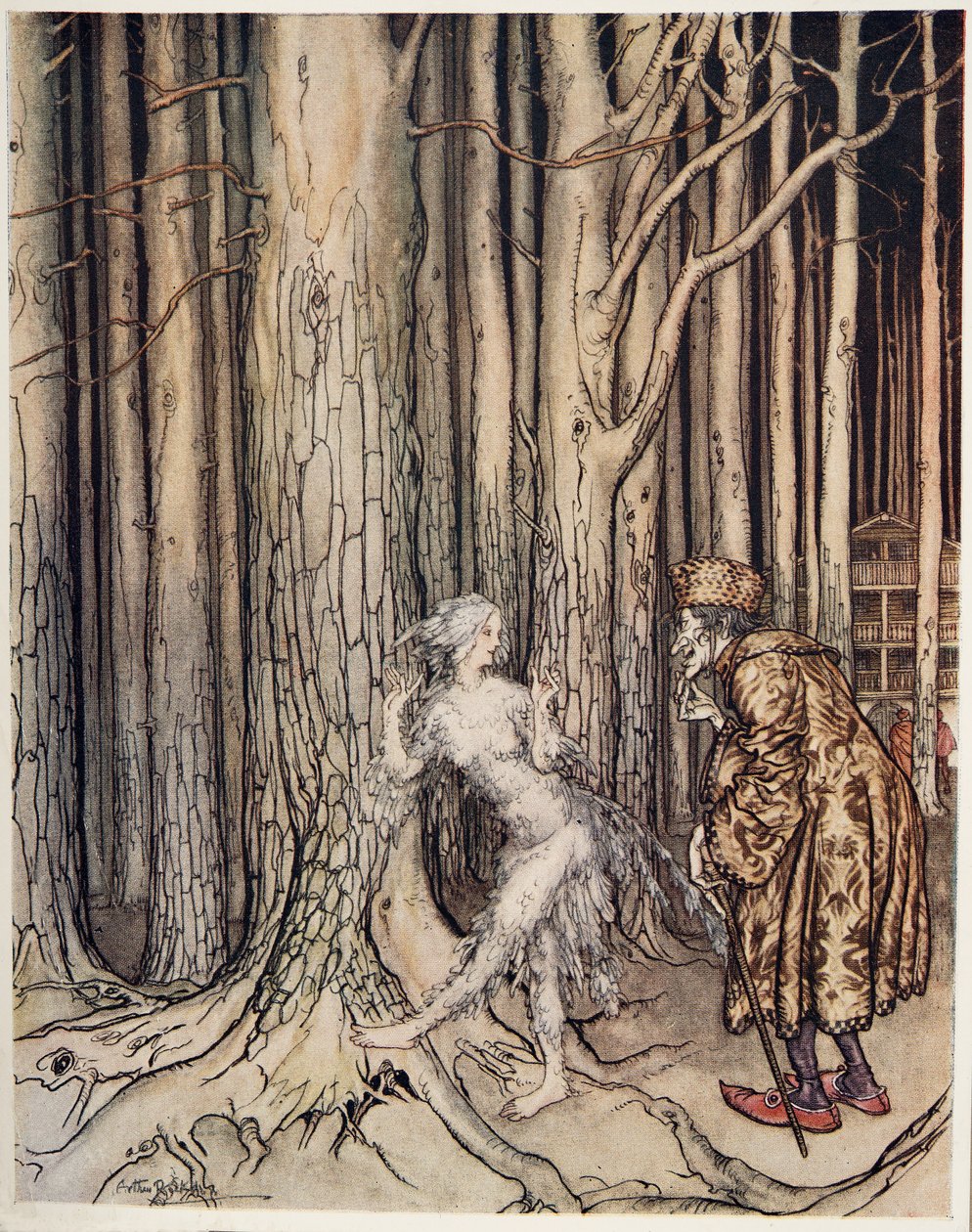 Fitchers Bird, teoksesta Little Brother & Little Sister ja muita Grimmin veljesten tarinoita, pub.1917 tekijältä Arthur Rackham
