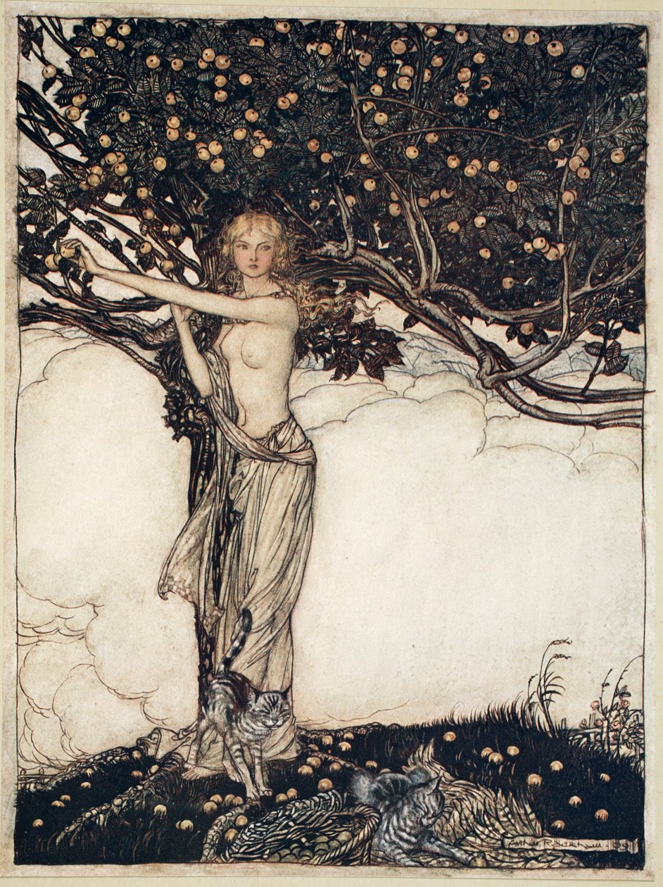 "Freia, kaunis", 1910 tekijältä Arthur Rackham